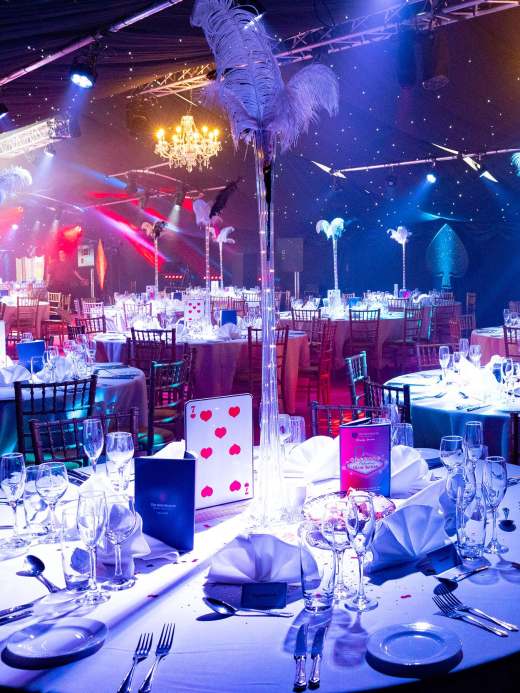 The Parent Ball Overview