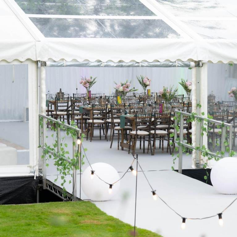 Clear or rustic?