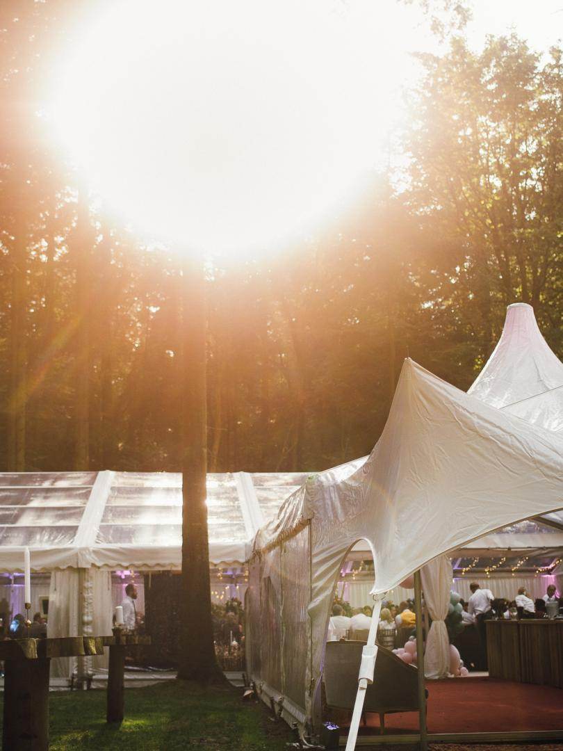 Woodland Wedding